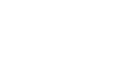 Bihar Industries Association