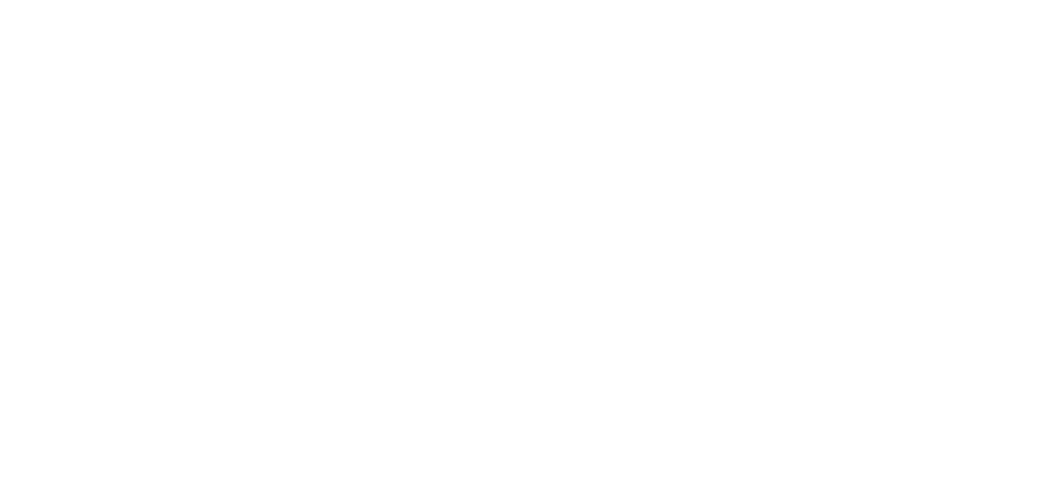 Make in India