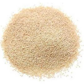 Buy Khas Khas Online | ChfMart | India's B2B Marketplace for Restaurant Supplies