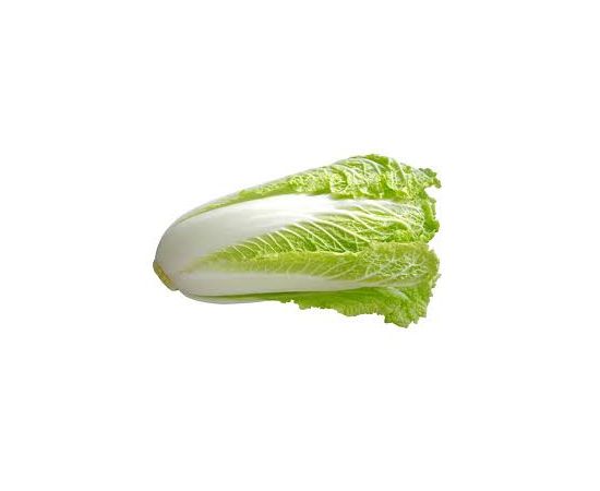 Buy Chinese Cabbage | ChfMart