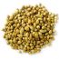 Buy Coriander Seeds Online | ChfMart